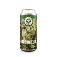 El-Regreso-Arboretum-Kolsch-470cc-02